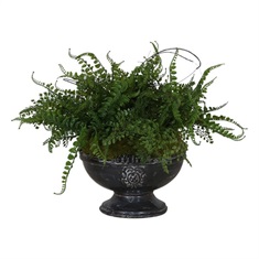 Amberly Fern Centerpiece