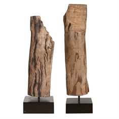 Balsam Mango Wood, S/2