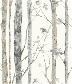 Birch Trees