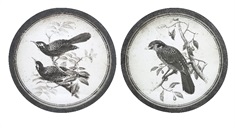 Black and White Bird Wall Décor - Ast 2