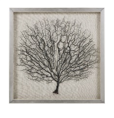 Bodaway Coral in Shadowbox with Frame