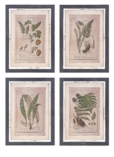 Botanical Print Wall Décor - Ast 4