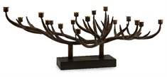 Branch