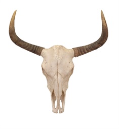 Bull Skull Wall Décor