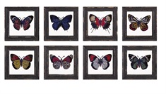 Butterfly Framed Glass Wall Décor - Ast 8