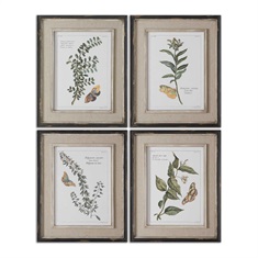 Butterfly Plants Framed Art, S/4