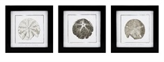 Cayman Shell Wall Decor - Ast 3