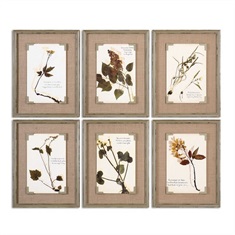 Ceramic Florals Framed Art, S/6