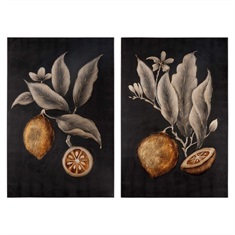 Citrus Study Hand Painted Art, S/2