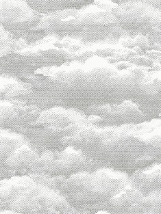 Clouds