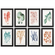 Colorful Algae Framed Art, S/8