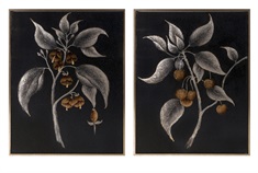 Ebina Framed Oil Paintings - Ast 2