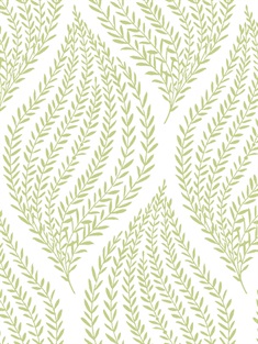 Fern