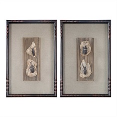 Fossilized Insects Art, S/2