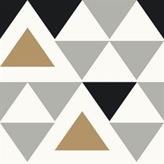 Geometric Triangle