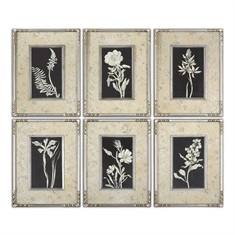 Glowing Florals Framed Art, S/6