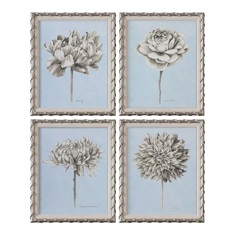 Graphite Botanical Study Floral Prints S/4