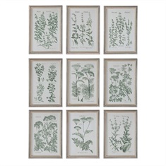Herb Garden Prints, S/9