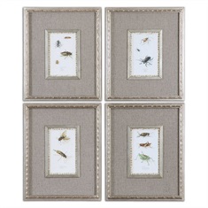 Insect Study Framed Art, S/4
