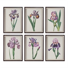 Iris Beauties Floral Prints S/6