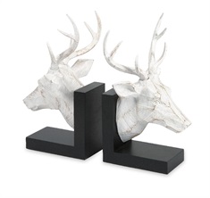 Joseph Deer