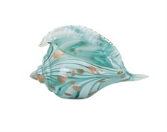 Kingston Glass Shell