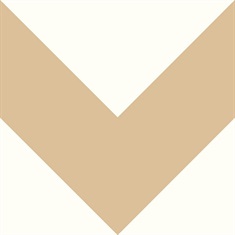 Large Chevron