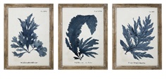 Lucia Wall Decor - Ast 3