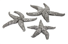 Magali Silver Starfish Wall Décors - Set of 3