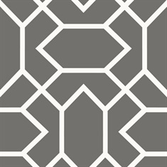 Modern Geometric