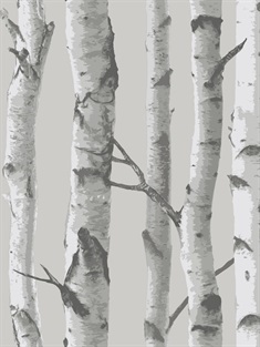 Mountain Birch