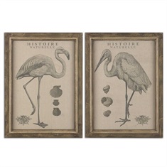 Natural History Framed Art, S/2