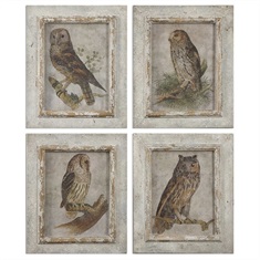 Owls Framed Art, S/4