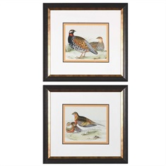 Pair Of Quail Framed Prints, S/2