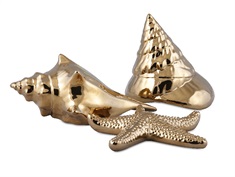 Petra Gold Ceramic Shells - Ast 3