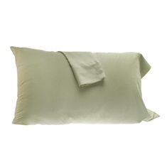 Rayon from Bamboo Pillowcase Set