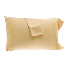 Rayon from Bamboo Pillowcase Set