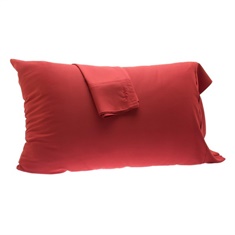 Rayon from Bamboo Pillowcase Set
