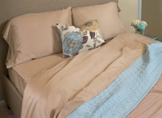 Twin Rayon from Bamboo Sheet Set