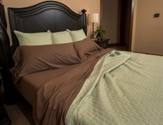 Twin Rayon from Bamboo Sheet Set