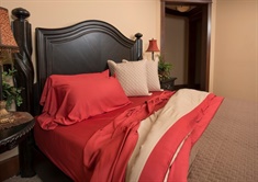 Twin Rayon from Bamboo Sheet Set