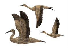 Reeds Migration