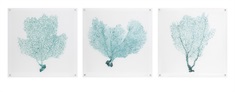 Sea Fan Acrylic Floating Wall Art - Ast 3