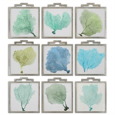 Uttermost Sea Fans Framed Art S/9
