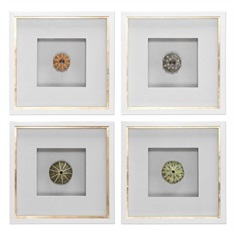 Sea Urchins Shadow Box Art, S/4