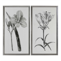 Sepia Flowers Sepia Tone Prints S/2
