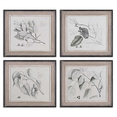 Sepia Leaf Study Wall Art, Set/4