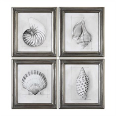 Shell Schematic Aquatic Prints S/4