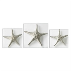 Silver Starfish Wall Art, S/3