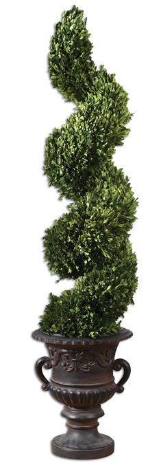 Spiral Topiary Preserved Boxwood